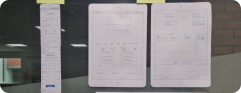 CAT CAMS